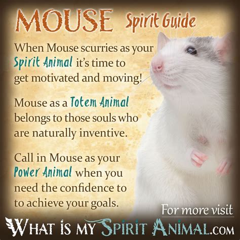 The Symbolism Behind Mouse Consumption in Witchcraft Practices